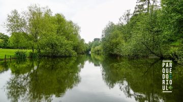 Parque do Rio Ul