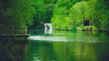 Parque do Rio Ul - SJM