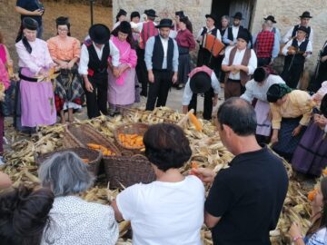 Desfolhada Parque do Rio Ul - imagem de arquivo