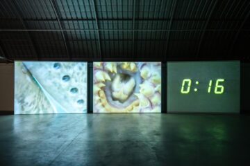 Expo O Arquipélago que ressoa - CAO