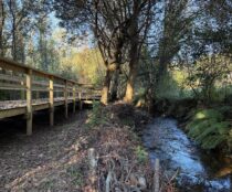 Passadiço do Rio Uíma em curso